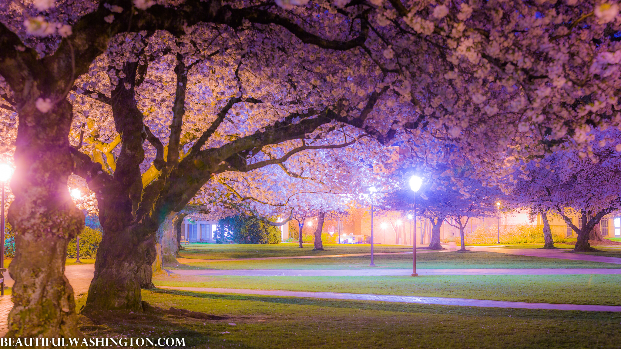 Photo from Washington State