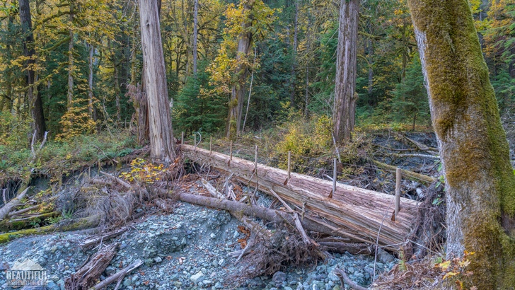 Photo of the Baker River Trail, taken in autumn, North Cascades Region