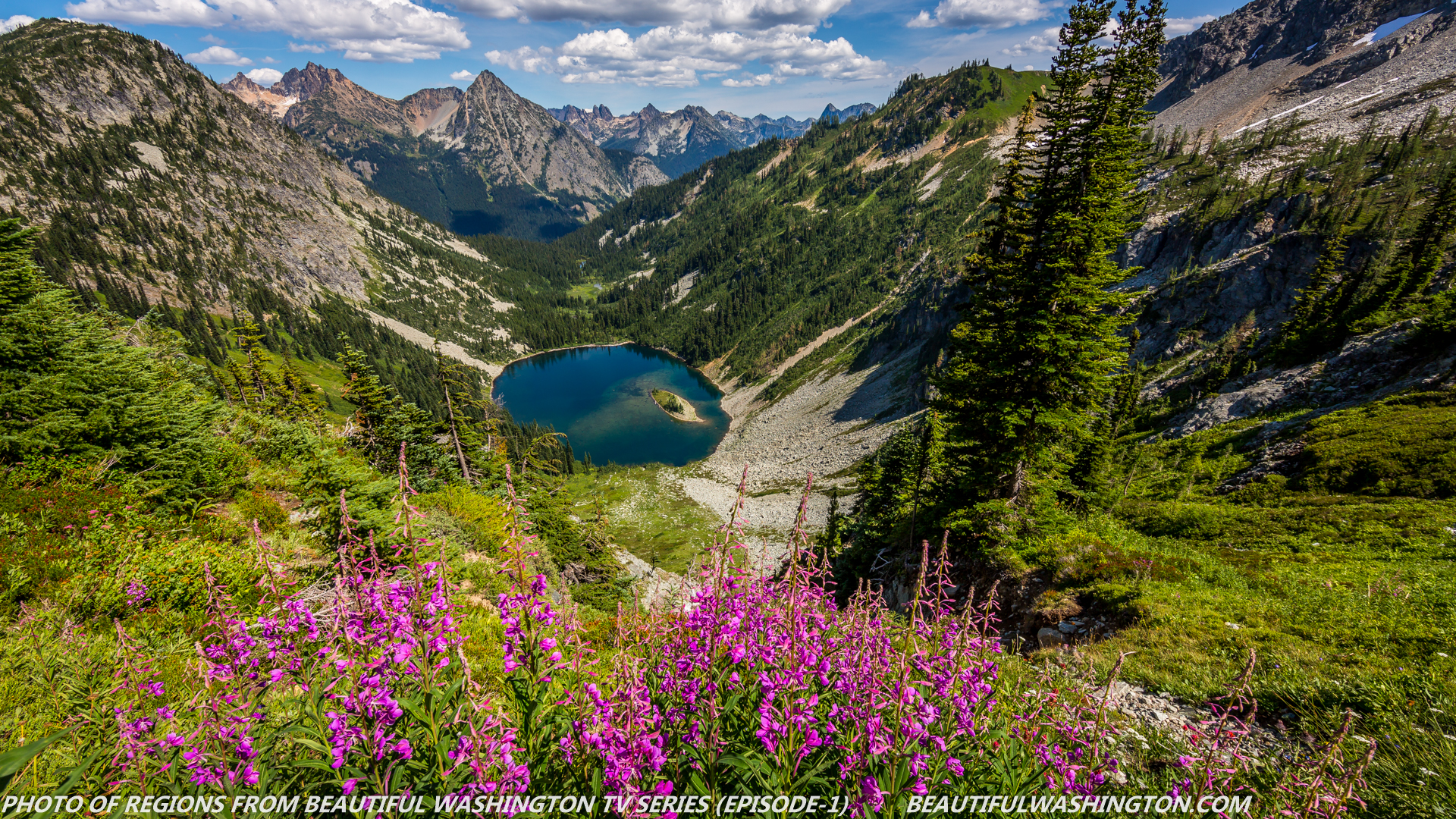 Photo from Washington State