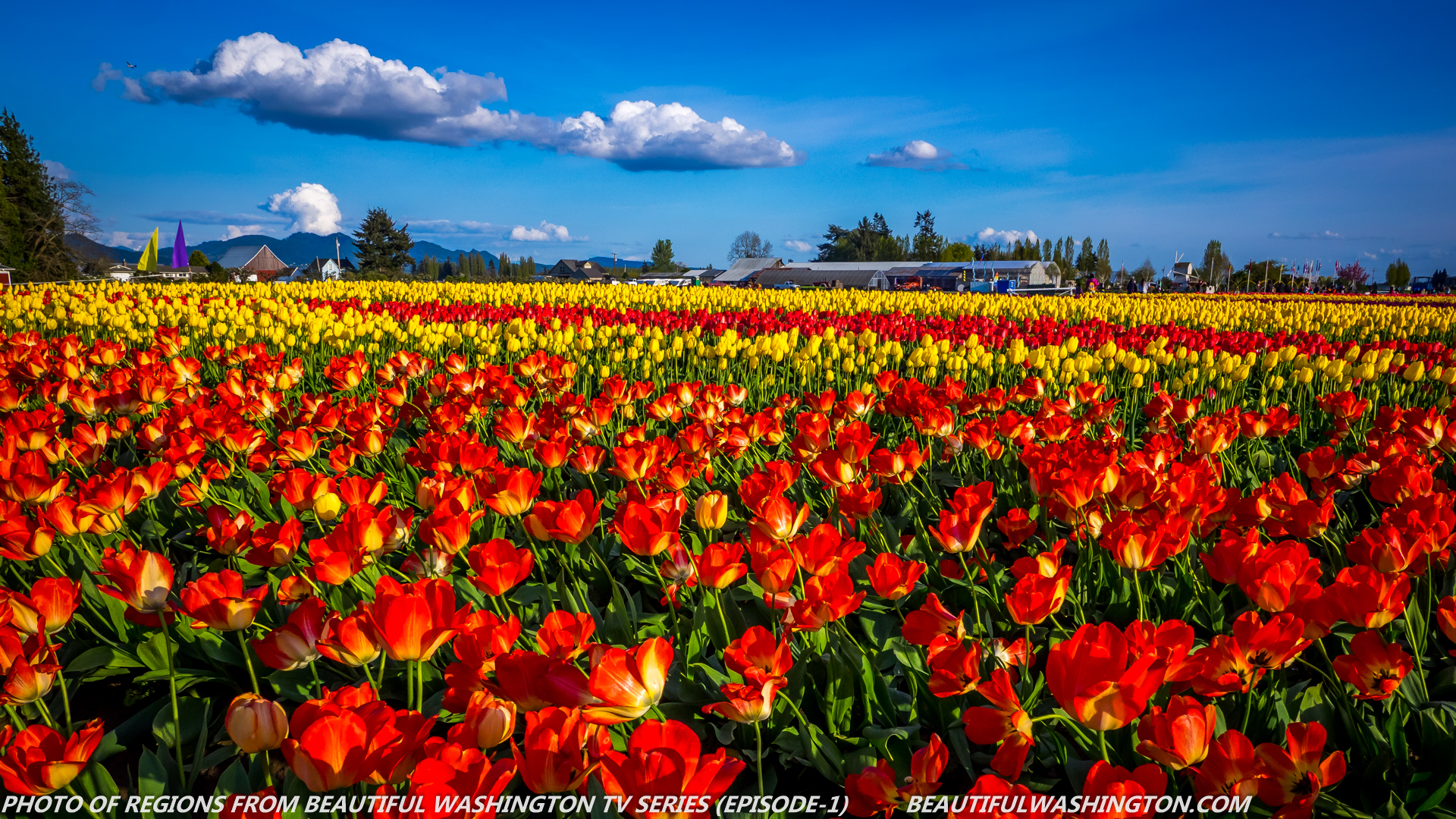 Photo from Washington State