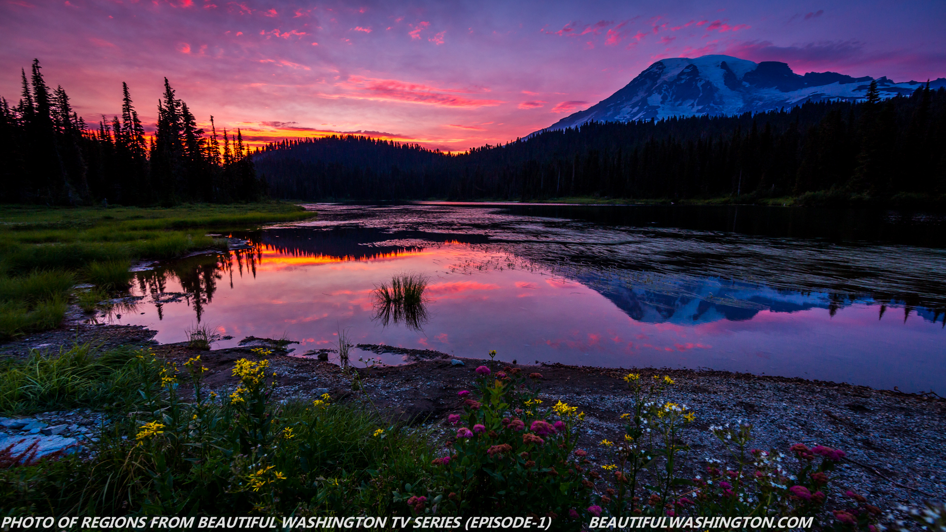 Photo from Washington State