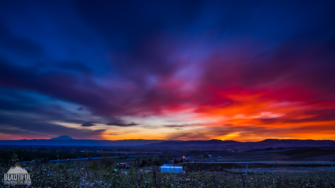 Photo from Washington State