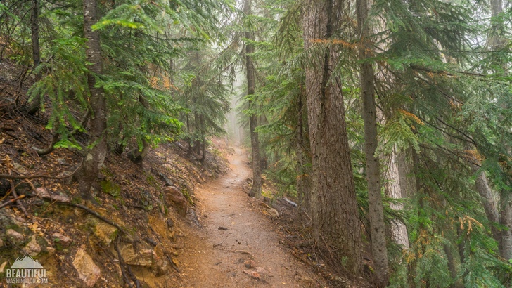 Photo from the Blue Lake Trail, taken in autumn; Diablo Lake Area, North Cascades Region