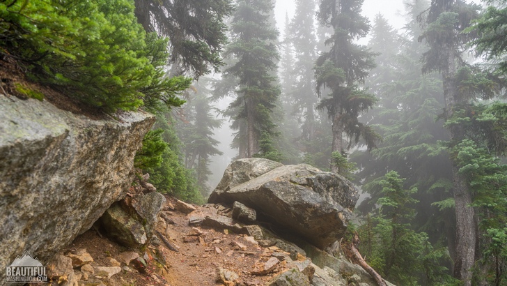 Photo from the Blue Lake Trail, taken in autumn; Diablo Lake Area, North Cascades Region