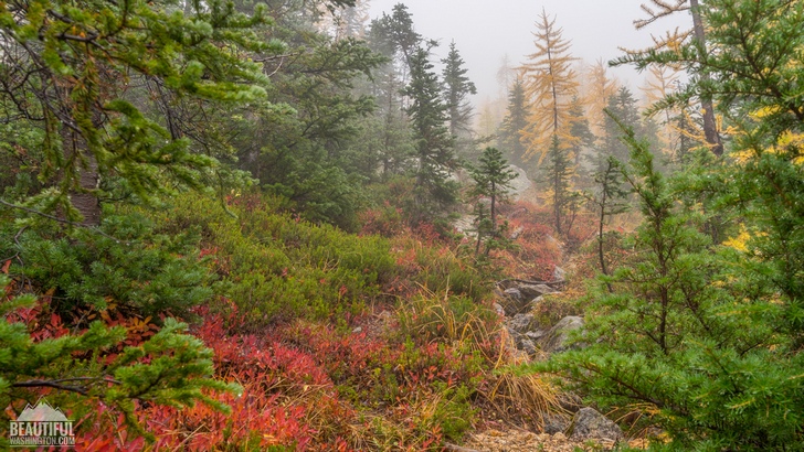 Photo from the Blue Lake Trail, taken in autumn; Diablo Lake Area, North Cascades Region