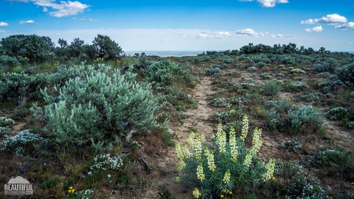 Photo from Washington State, Eastern Washington