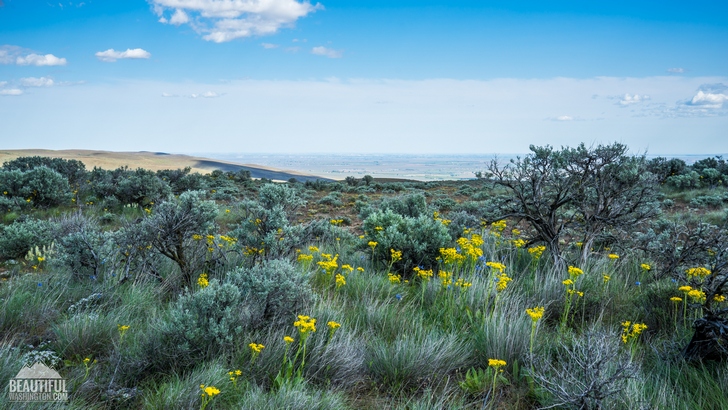 Photo from Washington State, Eastern Washington