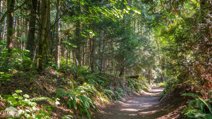 Photo taken at Bridle Trails State Park, King County, Eastside