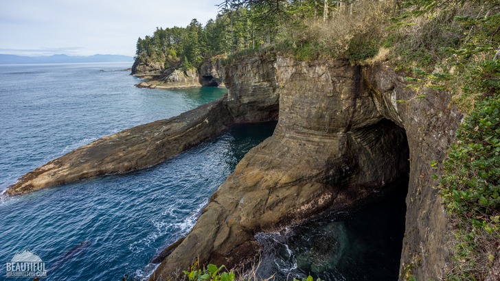 Photo from Cape Flattery Trail, Coast of the Olympic Peninsula