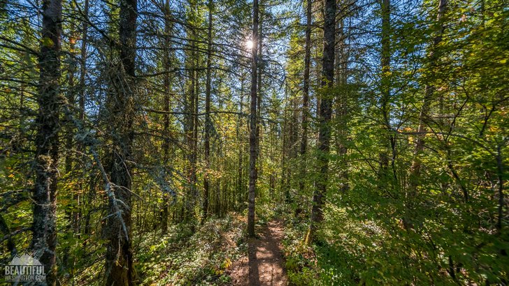 Photo taken at Cedar Butte Trail, Snoqualmie Region