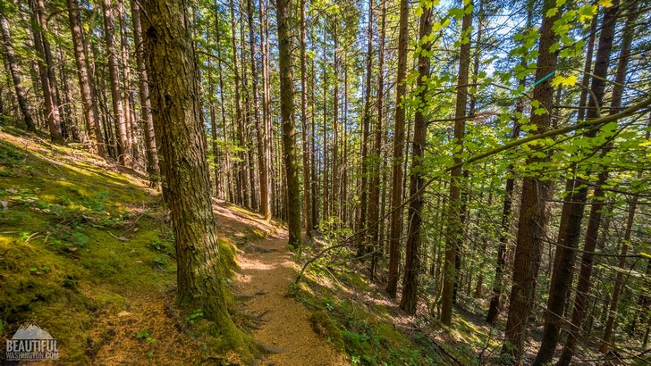 Photo taken at Cedar Butte Trail, Snoqualmie Region