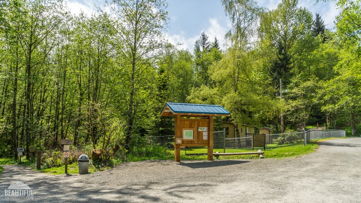 Photo from Cougar Mountain Regional Wildland Park, King County