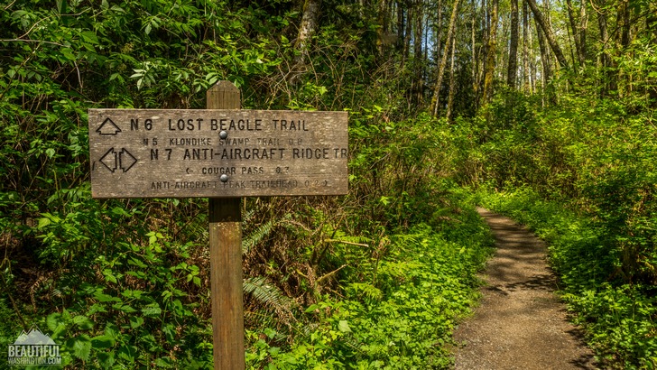 Photo from Cougar Mountain Regional Wildland Park, King County