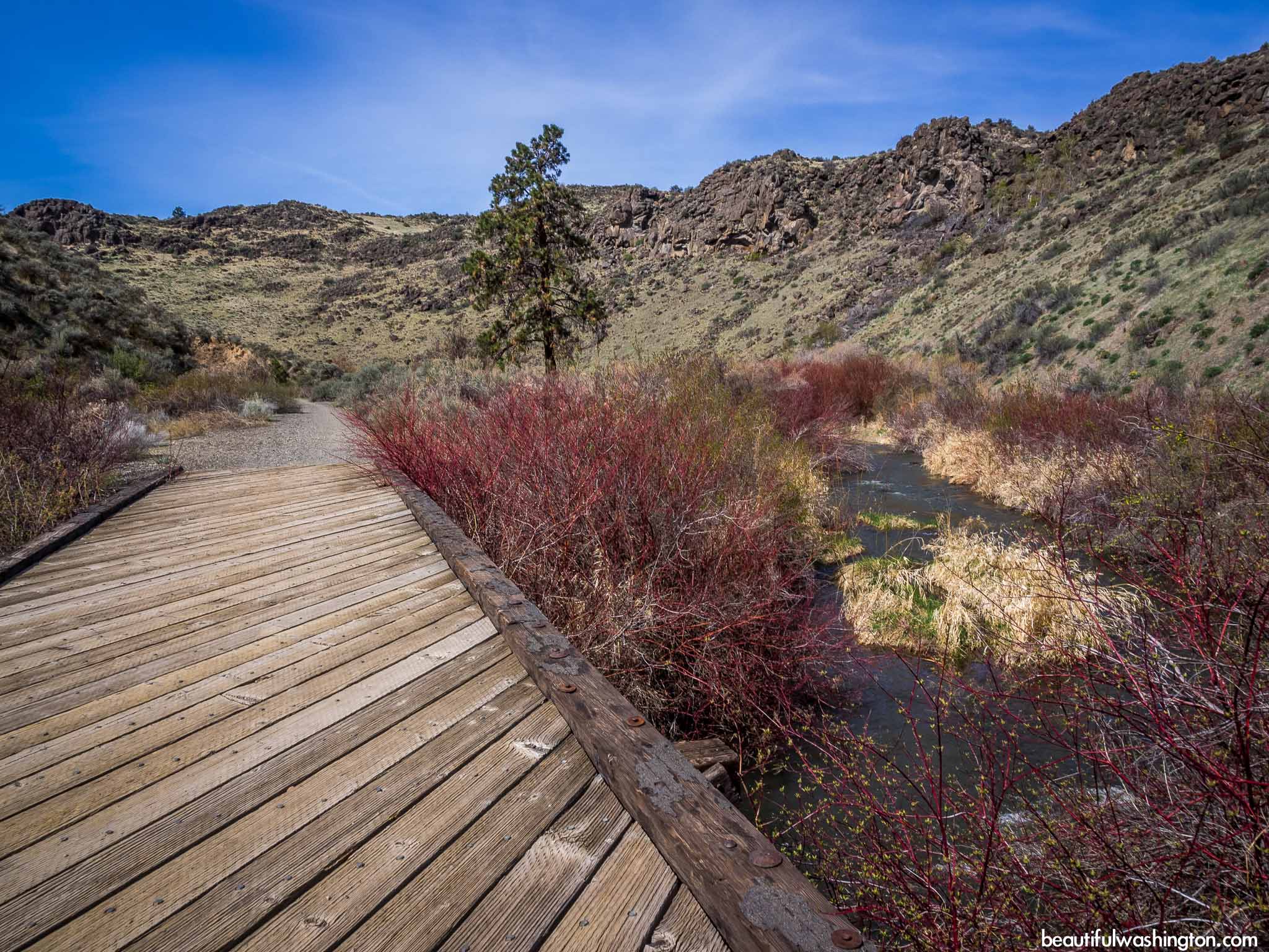 Cowiche Canyon 39