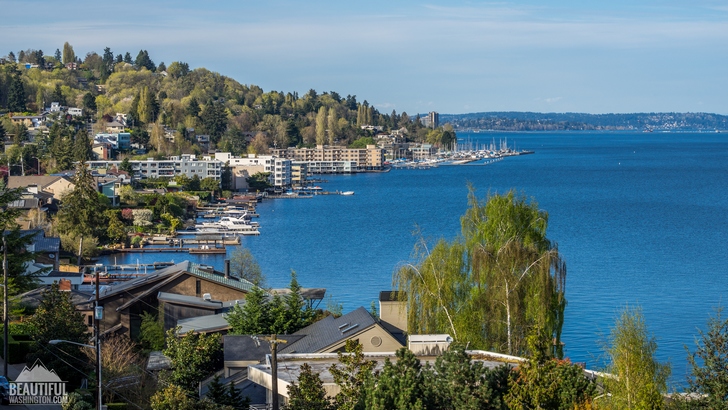 Photo of Seattle, Day Street Park