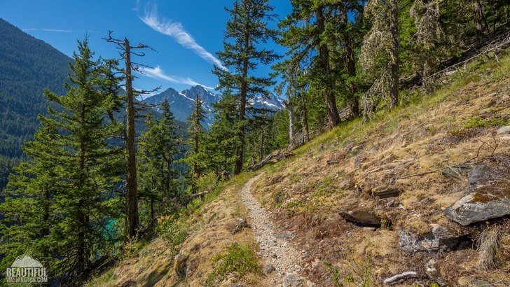 Photo from Diablo Lake Trail, North Cascades Region