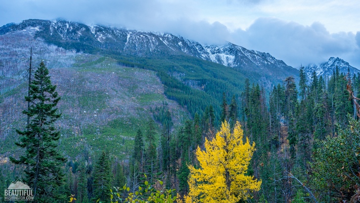 Eightmile Lake Trail