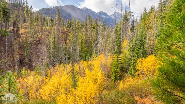 Photo of the Eightmile Lake Trail, Central Cascades, taken in autumn