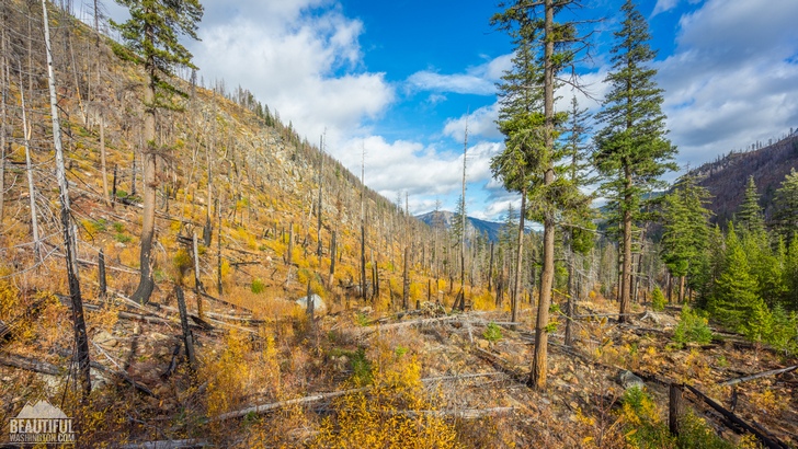 Photo of the Eightmile Lake Trail, Central Cascades, taken in autumn