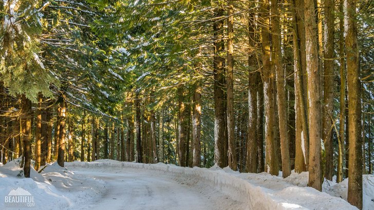 Winter beauty of the Franklin Falls Trail, Snoqualmie Region, North Bend Area