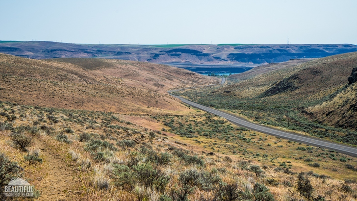 Ginkgo Petrified Forest Interpretive Trails 16