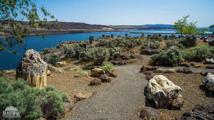 Photo from Washington State, Eastern Washington