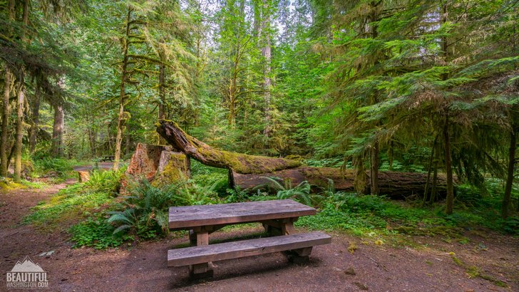 Photo taken at Iron Creek Campground, South Cascades Region, Mount St. Helens area