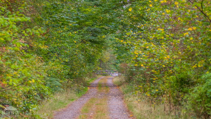 Photo taken from the Iron Horse State Park, Washington