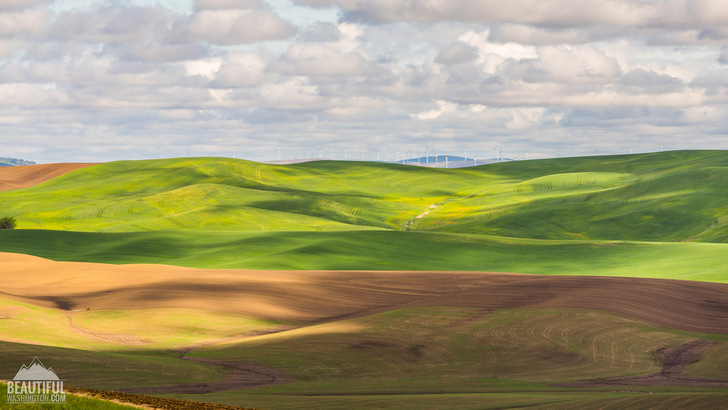 Photo taken at Kamiak Butte County Park, Whitman County