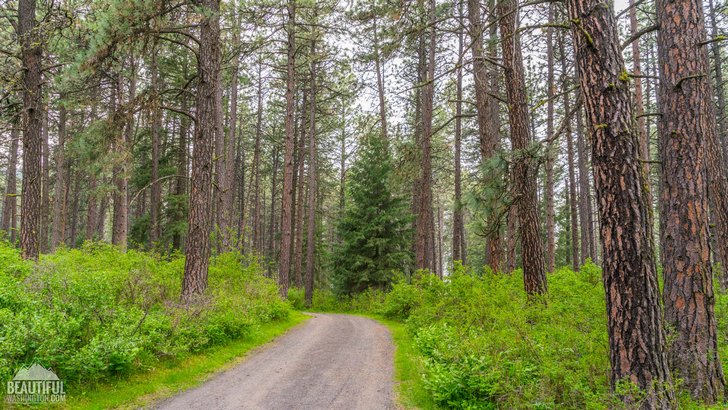 Photo taken at Kamiak Butte County Park Campground, Whitman County