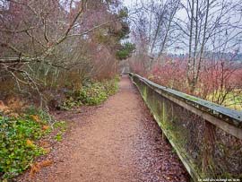 Mercer Slough and Bellefields nature parks 02