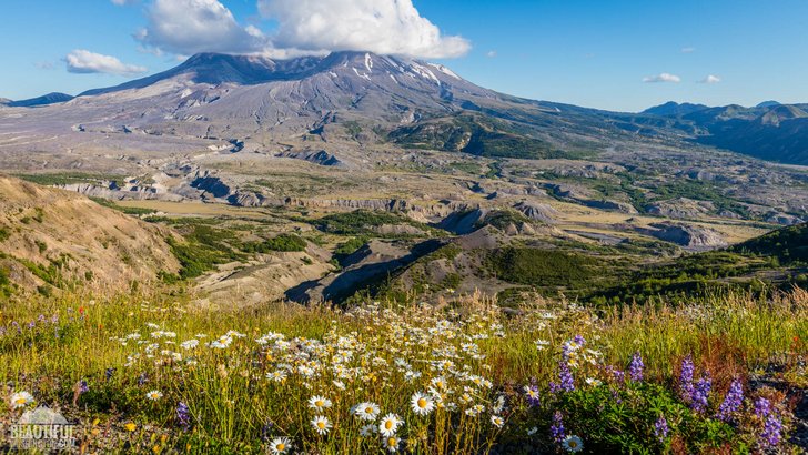 Photo from Loowit Viewpoint, Mount St. Helens Area, South Cascades