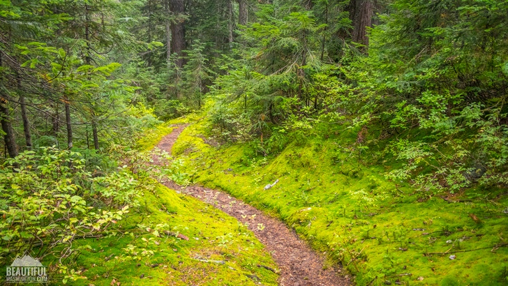 Photo taken during hiking the Meadow Creek Trail, Stevens Pass Area, Central Cascades