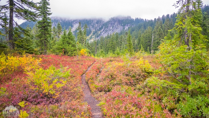 Meadow Creek Trail