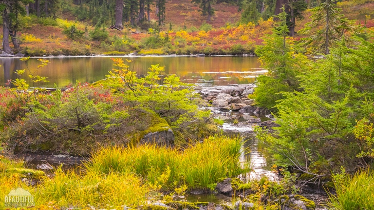 Photo taken during hiking the Meadow Creek Trail, Stevens Pass Area, Central Cascades