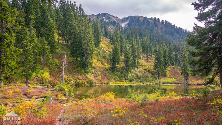 Photo taken during hiking the Meadow Creek Trail, Stevens Pass Area, Central Cascades