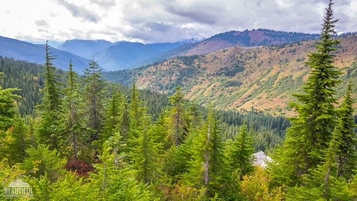 Photo taken during hiking the Meadow Creek Trail, Stevens Pass Area, Central Cascades