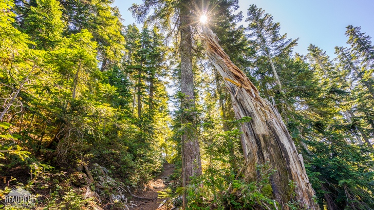 Photo of the Mount Catherine Trail and the views it provides, Snoqualmie Region, Washington State