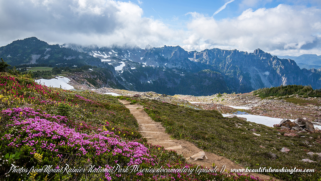 Photo from Washington State, Mount Rainier National Park