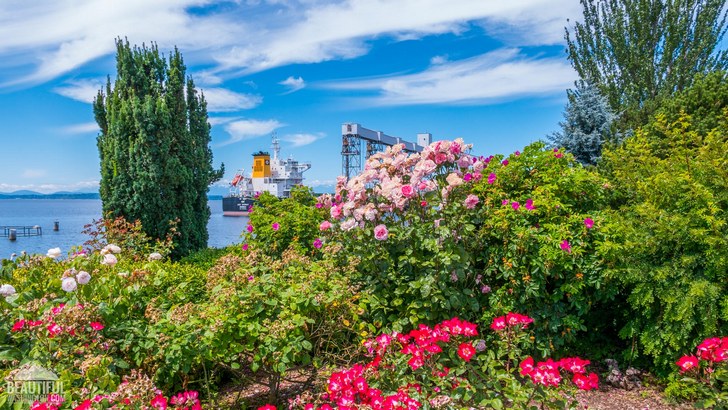 Photo taken at Myrtle Edwards and Centennial Parks, Seattle, Washington State