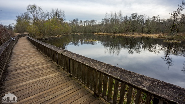 Nisqually National Wildlife Refuge