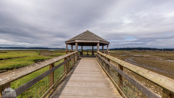 Photo from Nisqually National Wildlife Refuge, Washington