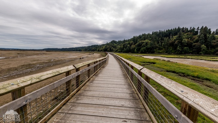 Photo from Nisqually National Wildlife Refuge, Washington