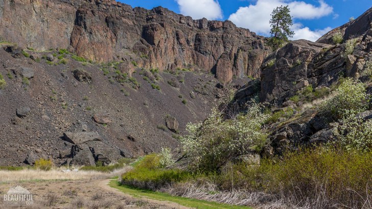 Photo taken from the Northrup Canyon Trail, Eastern Washington