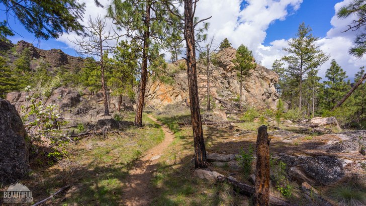 Photo taken from the Northrup Canyon Trail, Eastern Washington