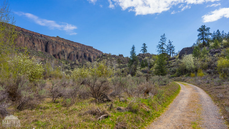 Photo taken from the Northrup Canyon Trail, Eastern Washington