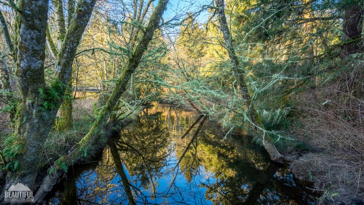 Photo from Ozette Campground