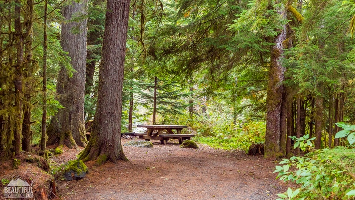 Photo from Silver Fir Campground, North Cascades Region, Mt. Baker area