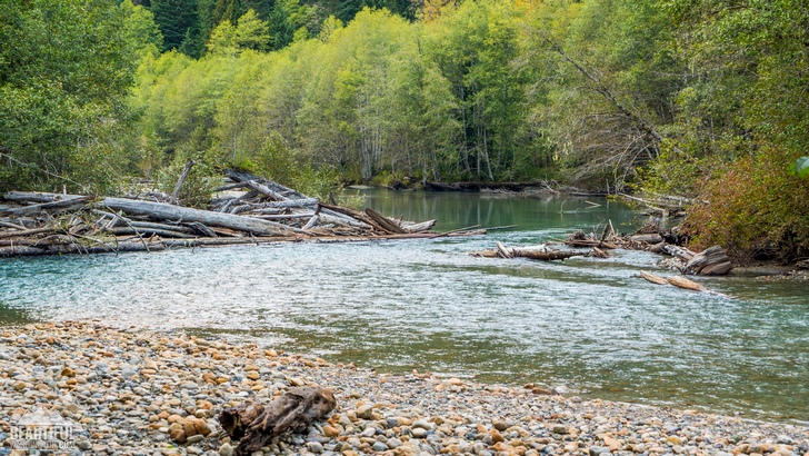 Photo from Silver Fir Campground, North Cascades Region, Mt. Baker area