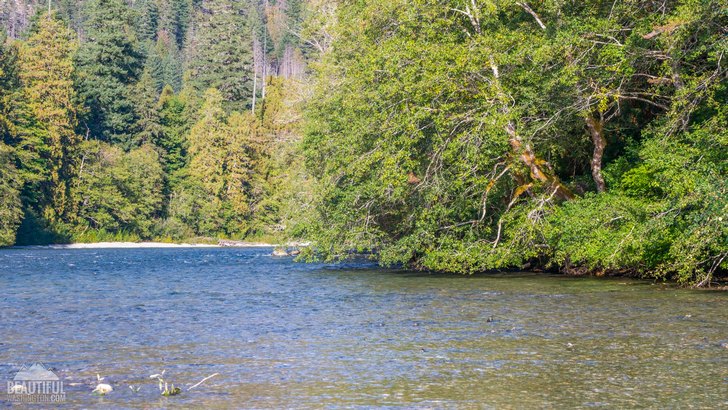 Photo taken from the Skagit River Trail, North Cascades, Washington.